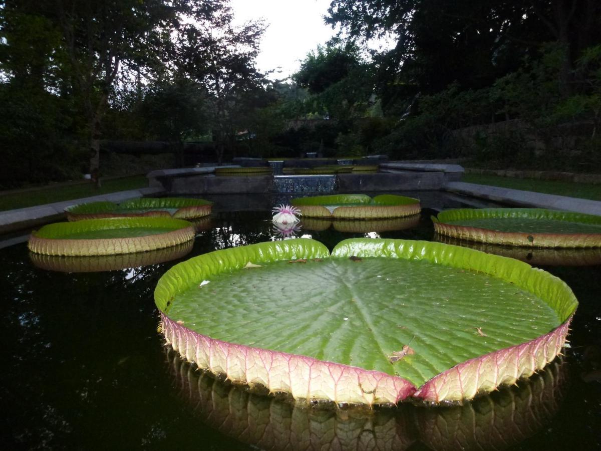 Vila Casa Da Tia Luisa Furnas  Exteriér fotografie